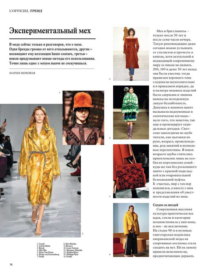 Blood and Honey - L'officiel - Experimental fur Blood and Honey - L'officiel - Experimental fur